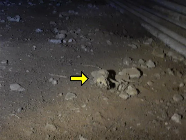 Crawl space under a raised foundation