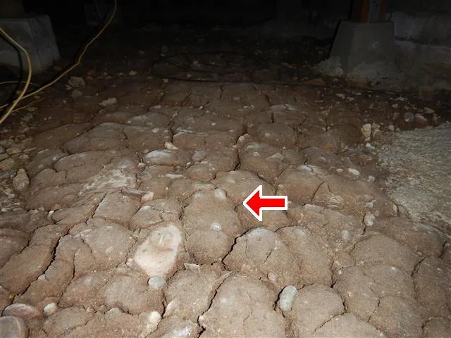 Slab and structure during an inspection