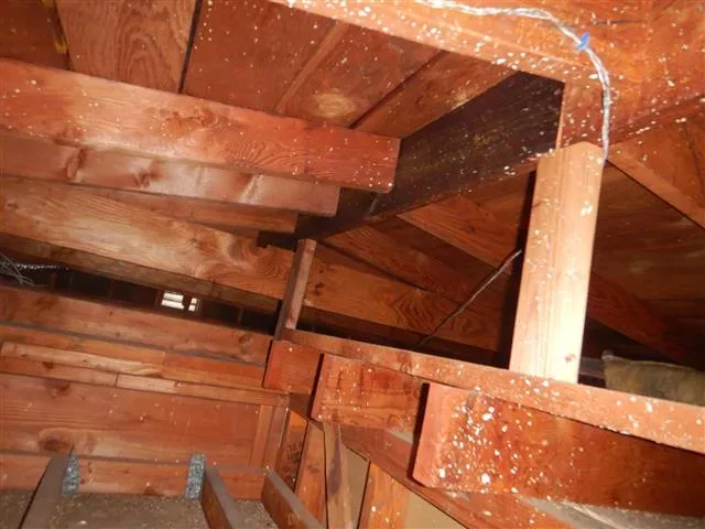 Inspection photo: attic framing from below