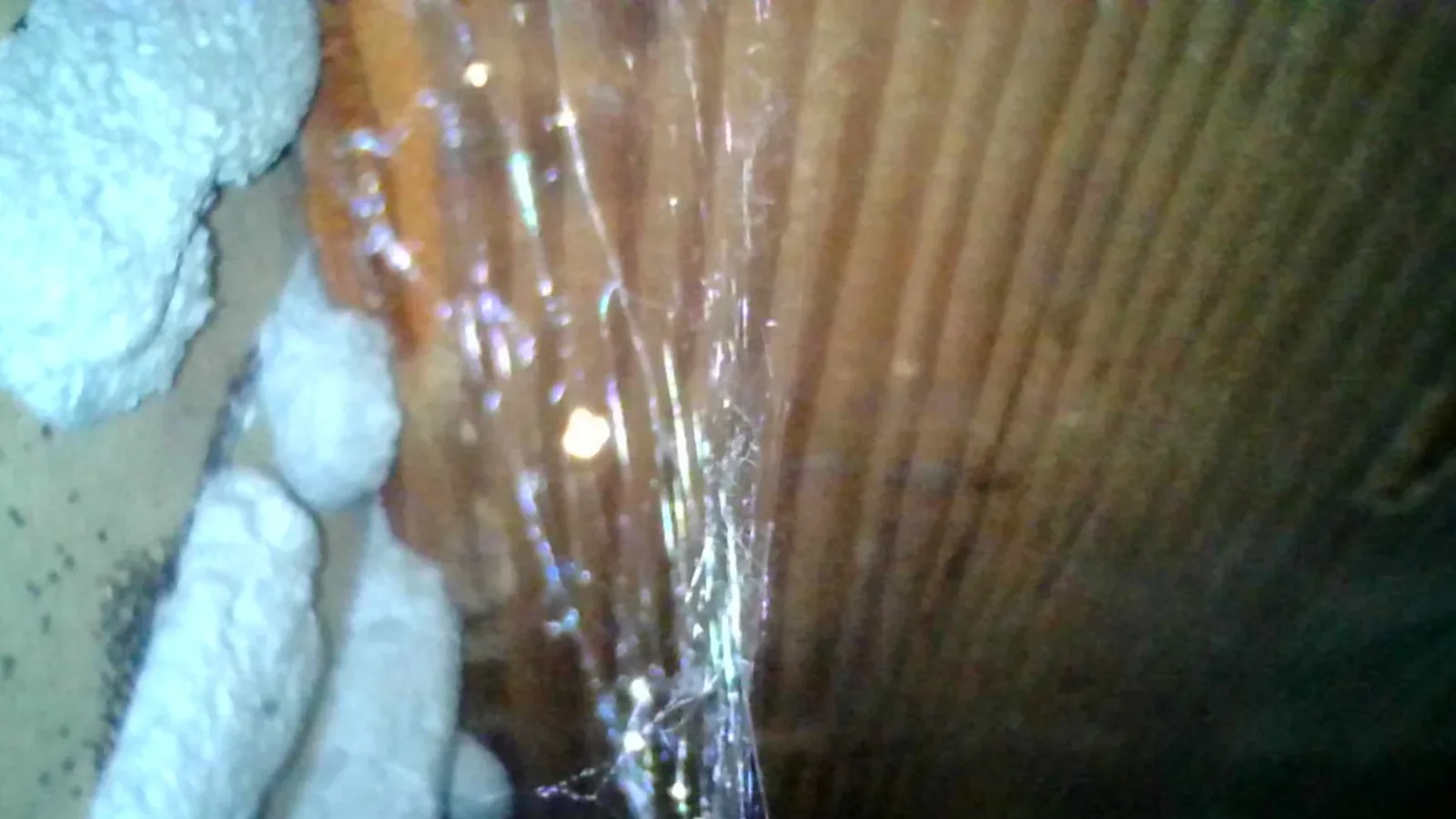 Inspection photo: wall cavity spray foam insulation
