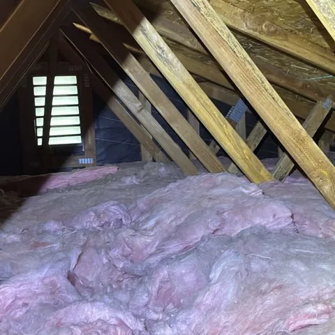 Attic insulation