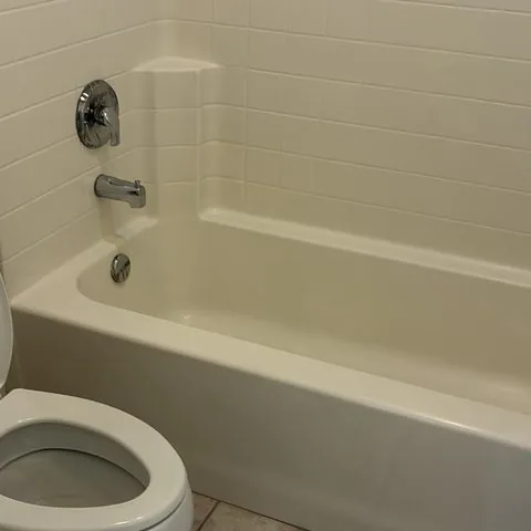 Tub and toilet