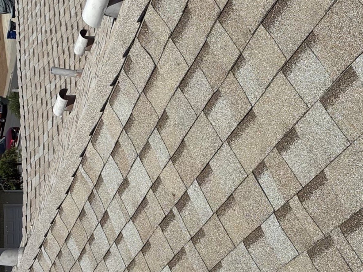 On-roof close-up photograph of intact asphalt shingles with two plumbing vent pipes visible, showing the shingle texture and layering in good condition