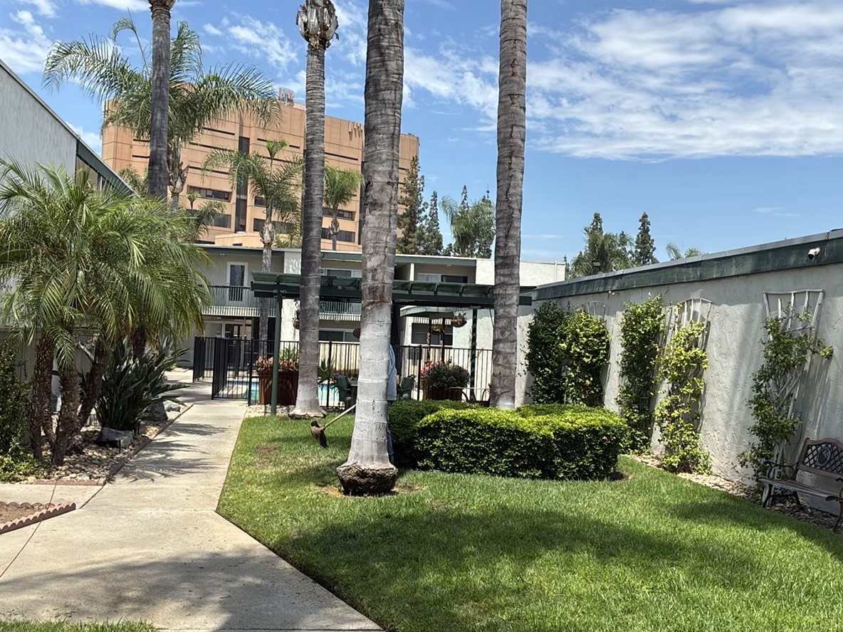 Courtyard of a low-rise apartment complex showing a concrete walkway flanked by palm trees, green lawn, and shrubs, with a multi-story building in the background under blue sky.