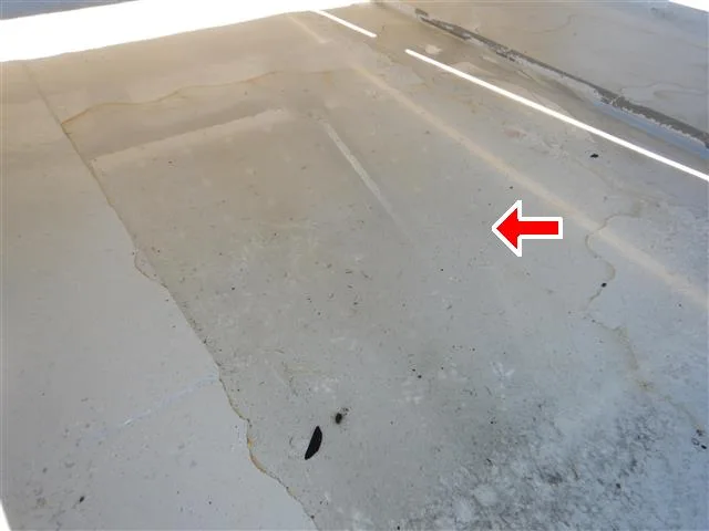 Ponding water on a flat membrane roof documented during a San Diego commercial inspection.