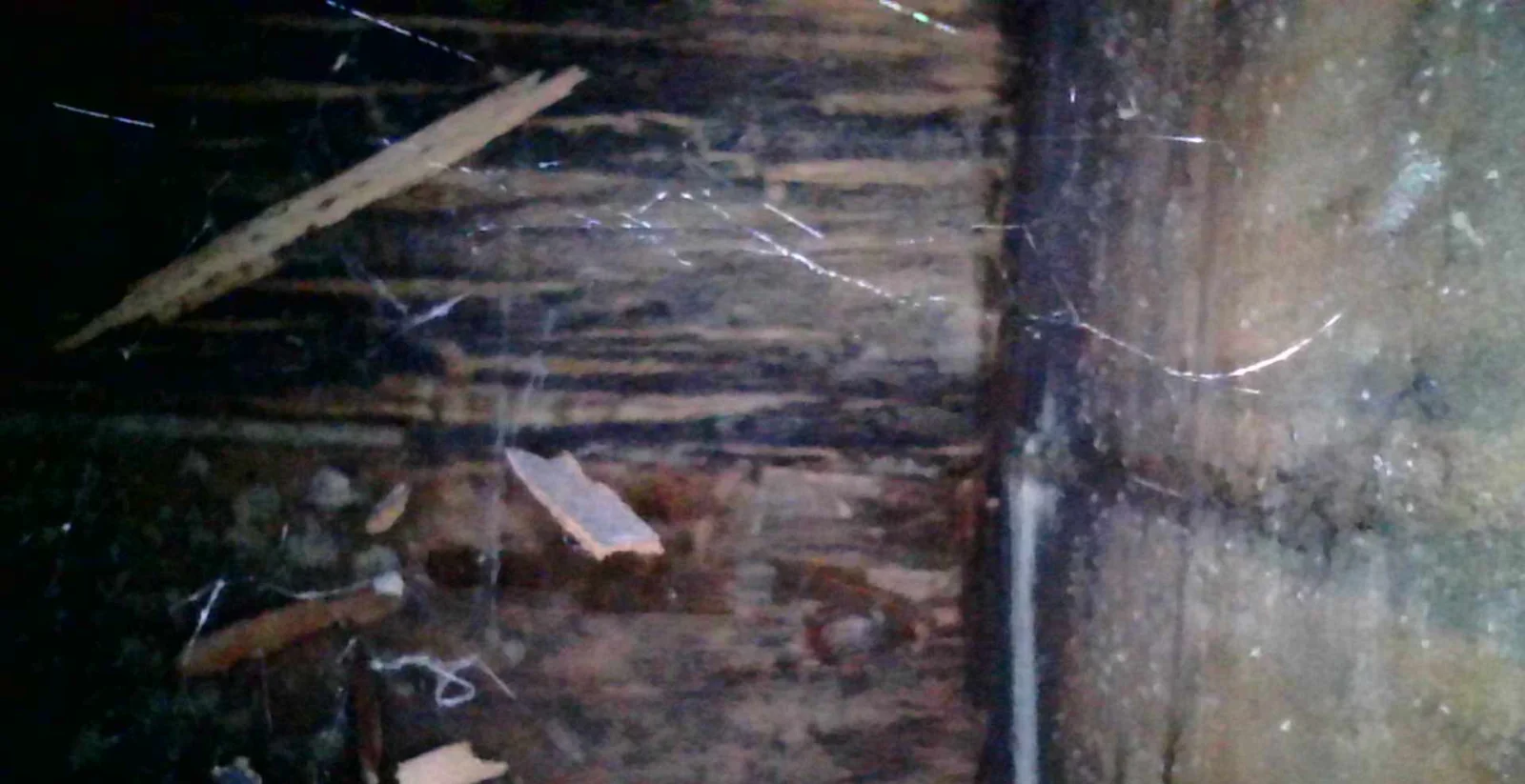 Borescope view of concealed, deteriorated balcony wood framing documented during a San Diego SB-721 inspection.