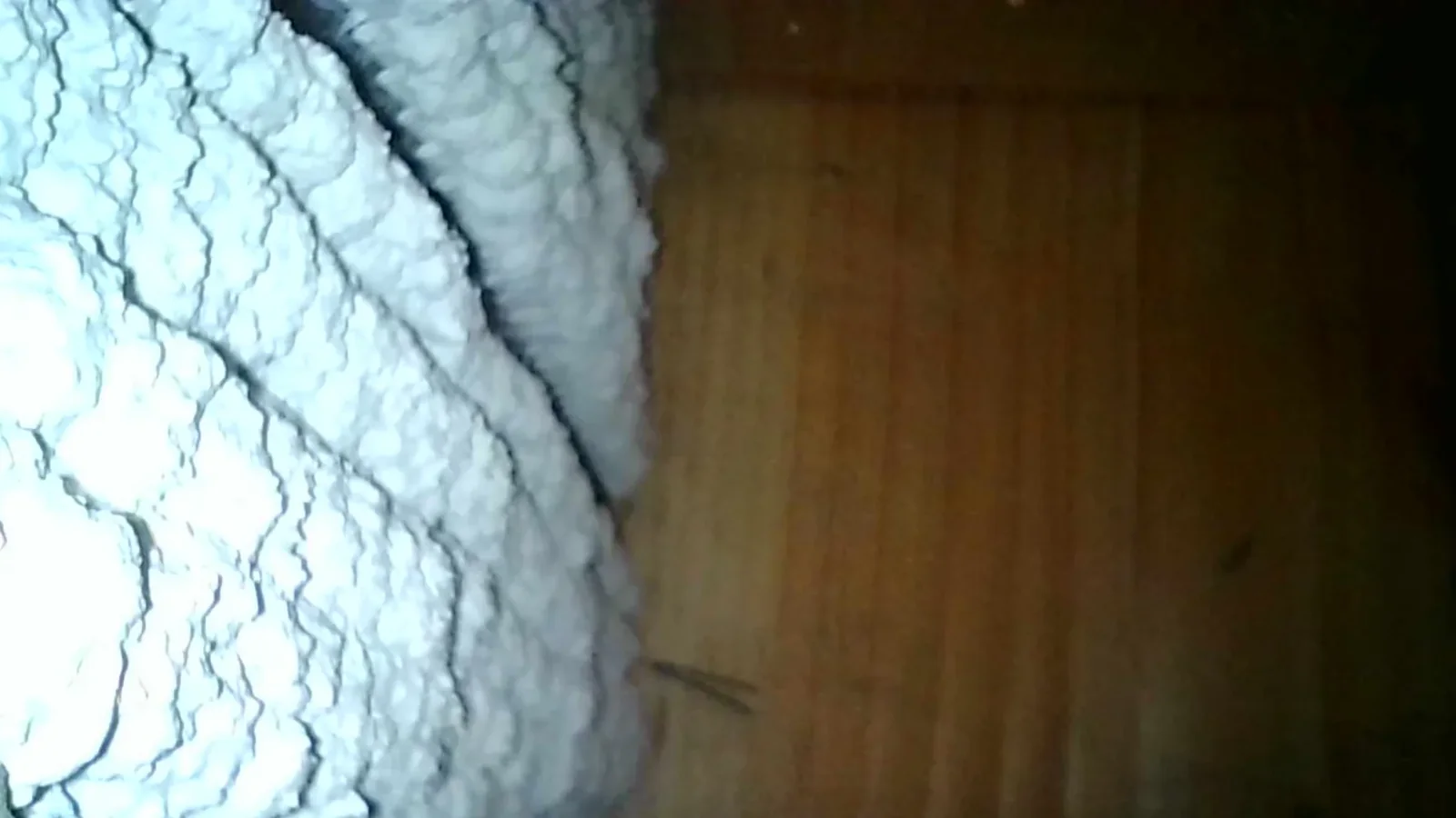 Concealed wall insulation and wood framing revealed by borescope during a thermal and moisture inspection in San Diego.