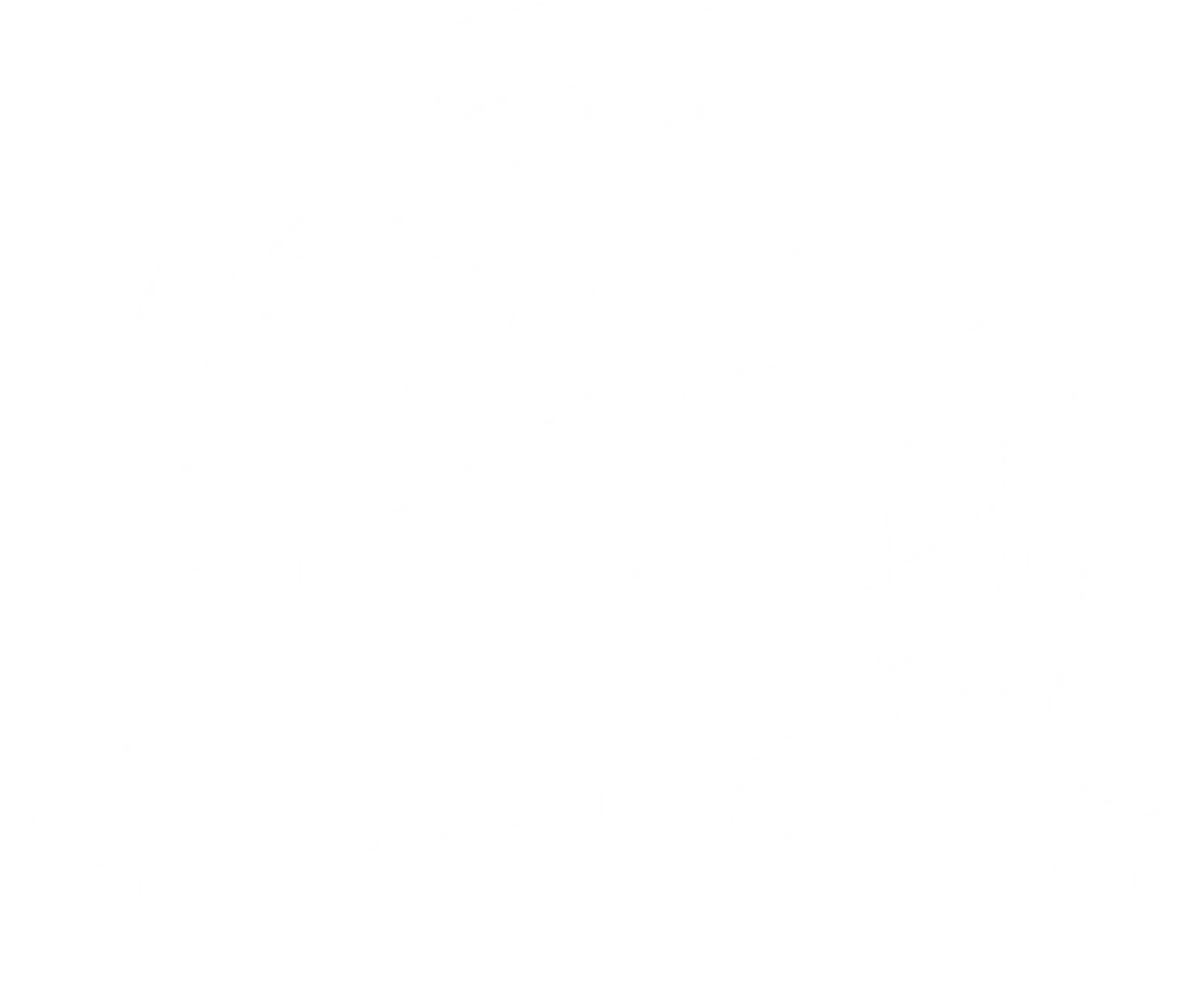 InterNACHI Certified